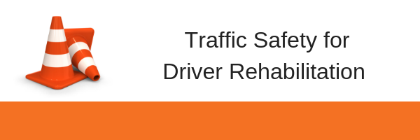 Traffic Safety for Driver Rehabilitation 2024