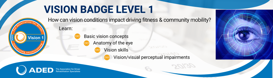 Vision Badge Level 1