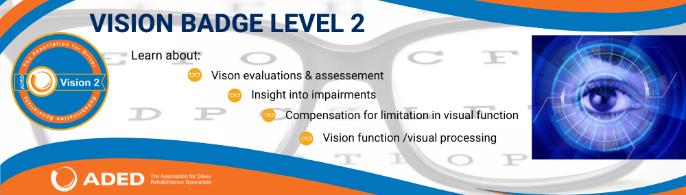 Vision Badge Level 2